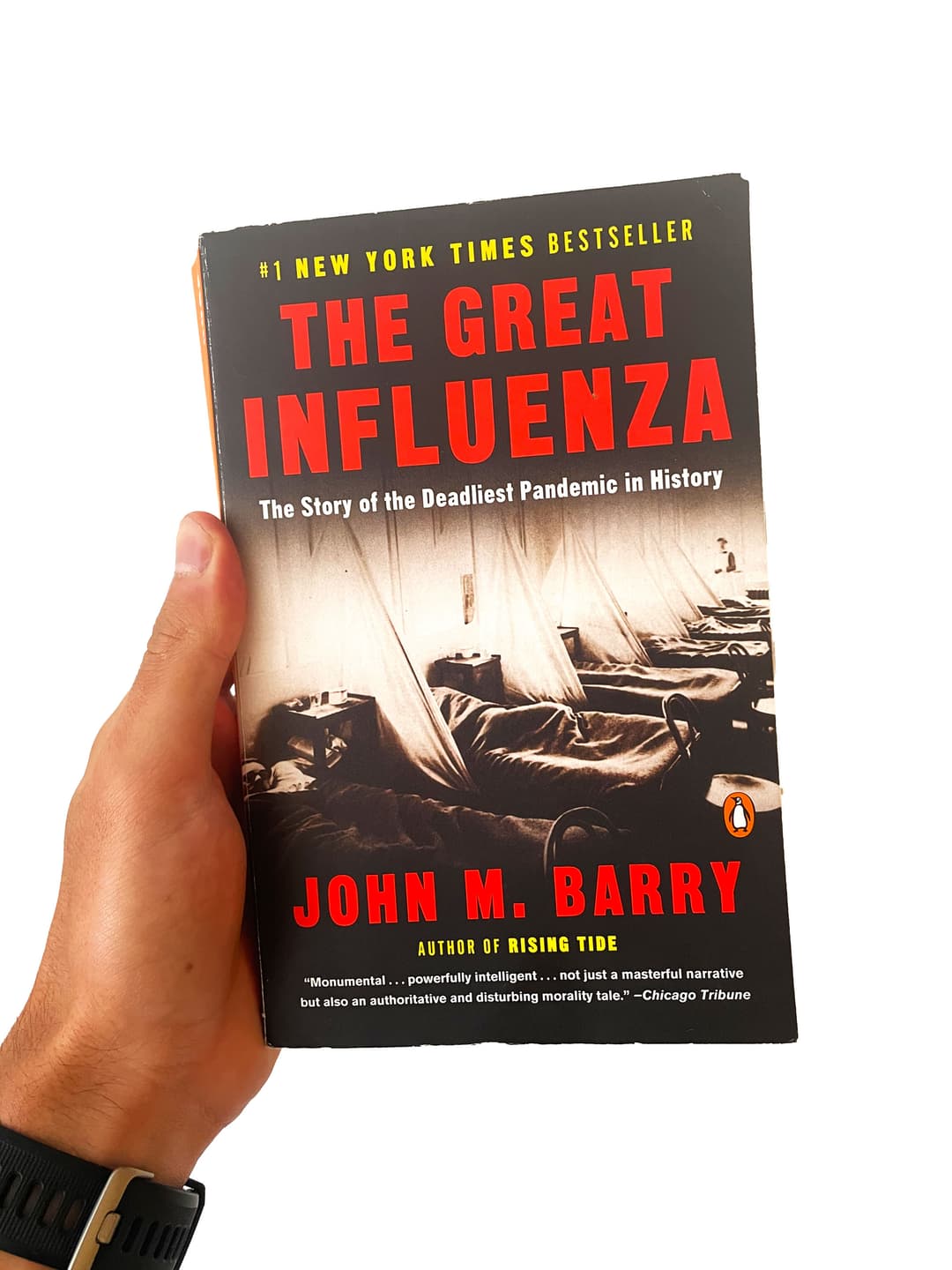 The Great Influenza
